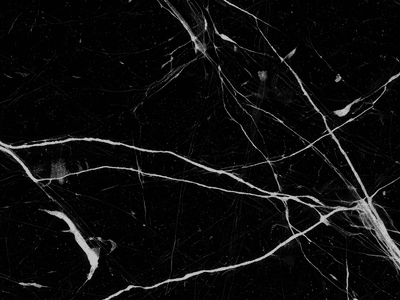 Nero Marquina swatch